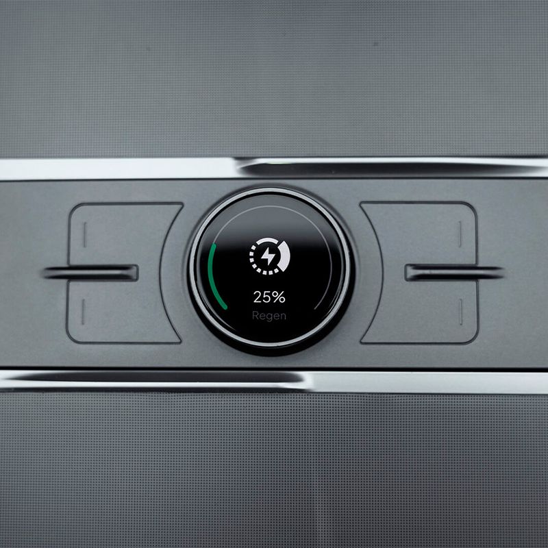 The S3XY Knob - Tesla Model Y Juniper 
